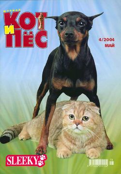 Кот и Пёс-журнал обложка.jpg