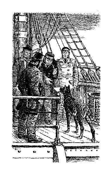 Файл:W0015195 09-3779.jpg