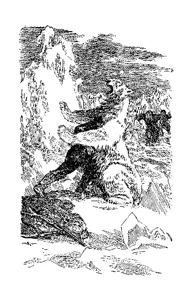 Файл:W0015195 09-3789.jpg