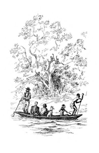 Файл:W0015370 09-12502.jpg