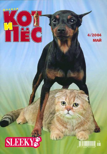 Файл:Кот и Пёс-журнал обложка.jpg