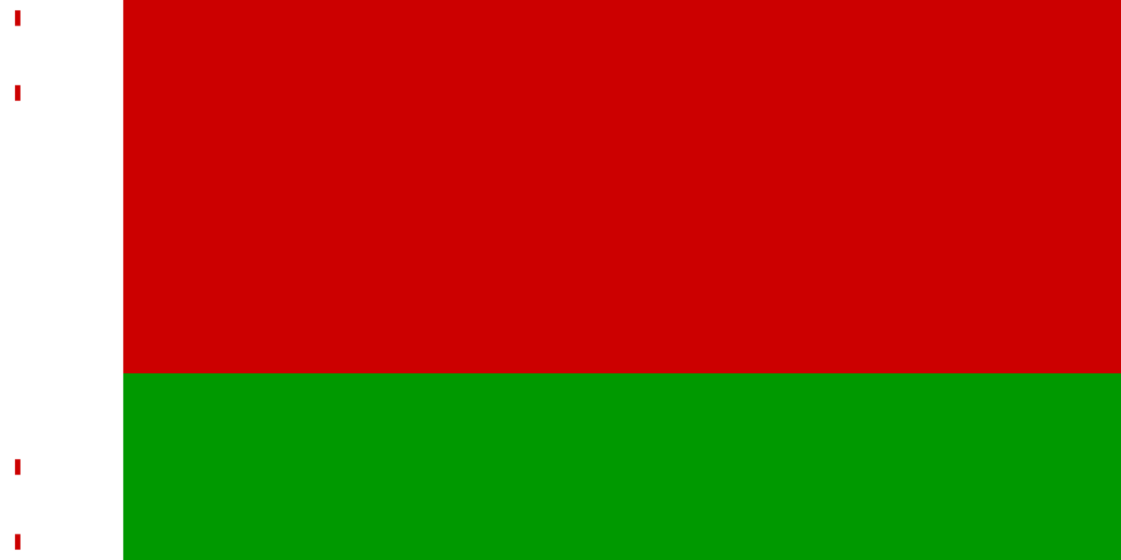 Флаг Беларуси 1995. Флаг Беларуси 1991. Флаг Белоруссии бело красно зелёный. Белорусский национальный флаг.